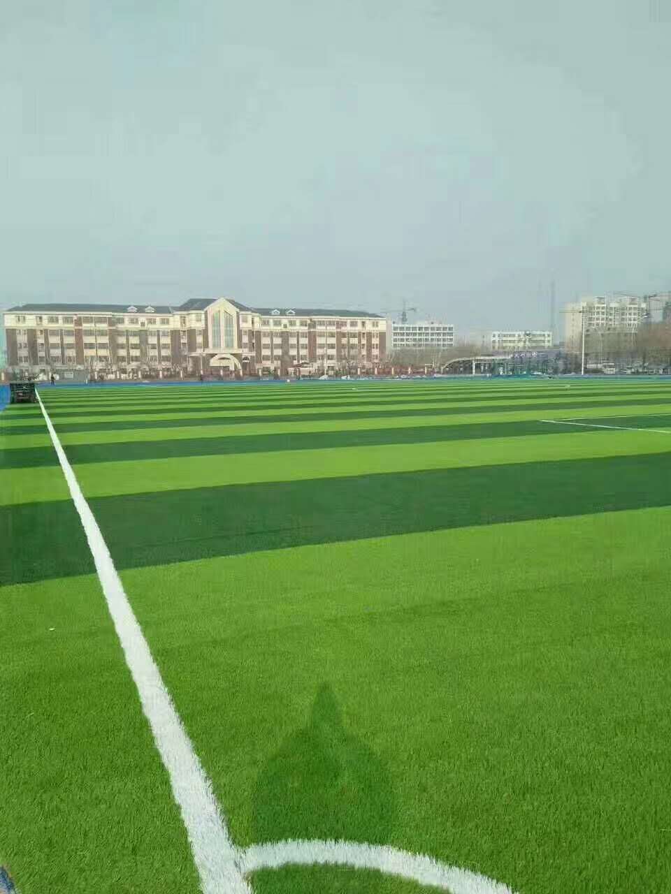 绍兴市预制型跑道仿真草坪 - 厂家